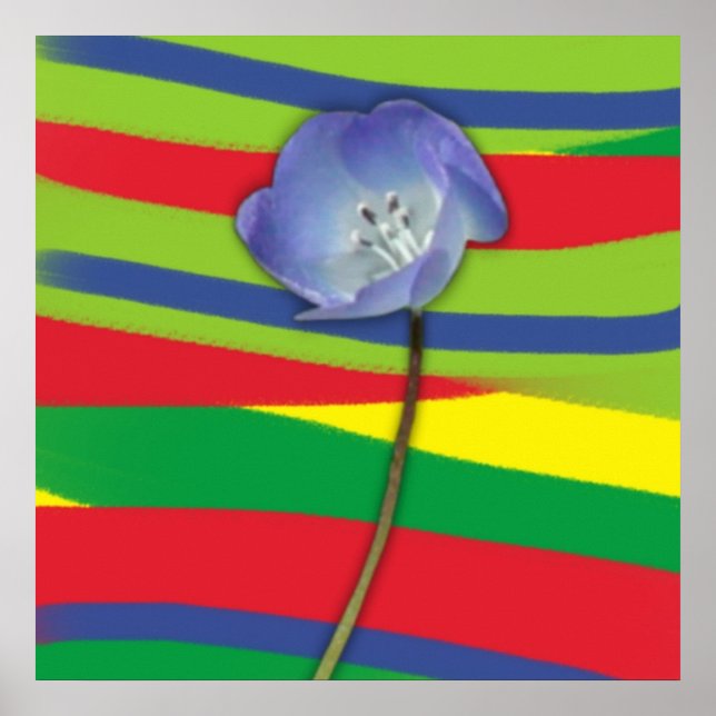 BLUME POWER POSTER (Vorne)