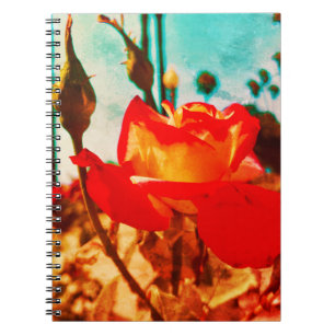 Blume Power Rose Notebook Notizblock