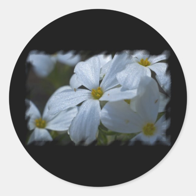 Blume Power Runder Aufkleber (Vorderseite)