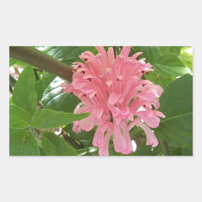 Blume Rechteckiger Aufkleber (Vorderseite)