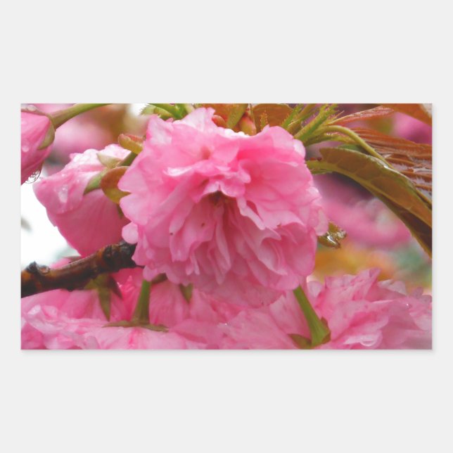 Blume Rechteckiger Aufkleber (Vorderseite)