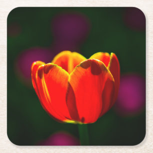 Blume Rechteckiger Pappuntersetzer