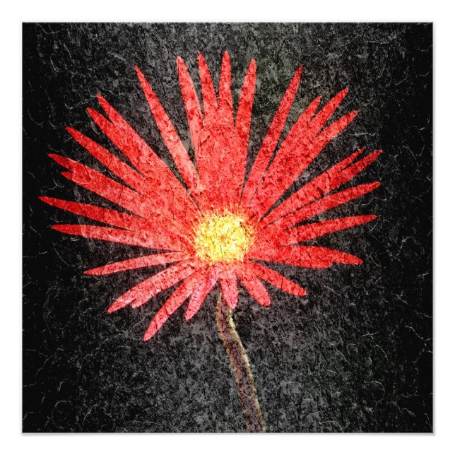 Blume Red Daisy Fotodruck (Vorne)