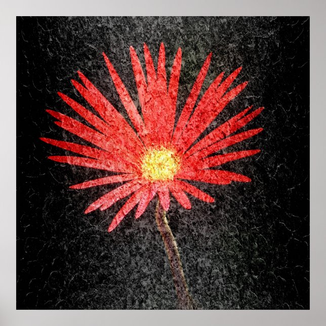 Blume Red Daisy Poster (Vorne)