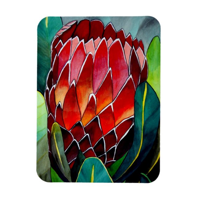 Blume Red Protea Aquarellkunst Magnet (Vertikal)