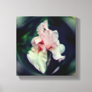 Blume Rosa Bartu Leinwanddruck