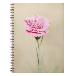 Blume Rosa Carnation Notizblock