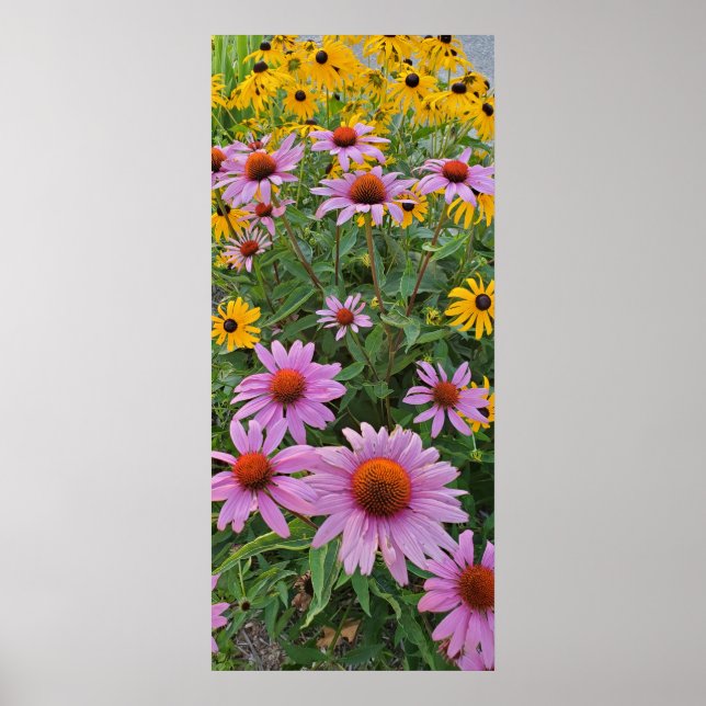 Blume Rosa und Gelbkon Naturfotografie Poster (Vorne)