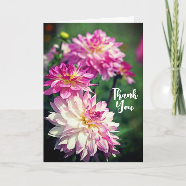 Blume Rosa und Weiß Dahlia Danke Karte (Vorderseite)