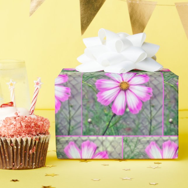 Blume Rosa und Weißkosmos Geschenkpapier (Geburtstagsparty)