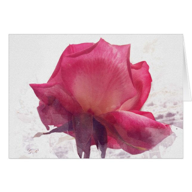 Blume. Rose (Vorderseite (Horizontal))