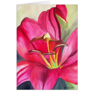 Blume Rot Alert Lily Aquarell