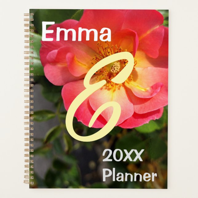 Blume Rot und Gelb Rose Planer (Vorderseite)