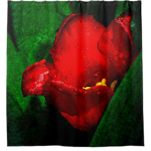 Blume Rot und Nass Duschvorhang