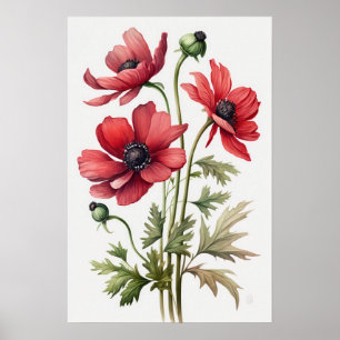 Blume Rote Anemone Poster