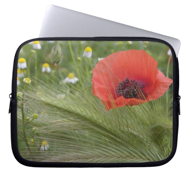 Blume Roter Mohn, Toskana, Italien Laptopschutzhülle (Vorderseite)