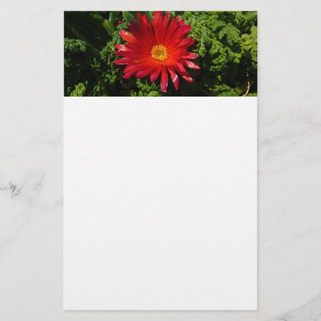 Blume Rotes Eis Farbenfrohe Teppiche Pflanze Briefpapier (Vorderseite)