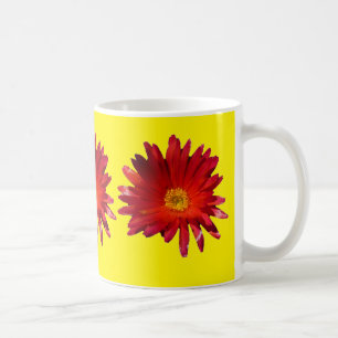 Blume Rotes Eis Farbenfrohe Teppiche Pflanze Kaffeetasse