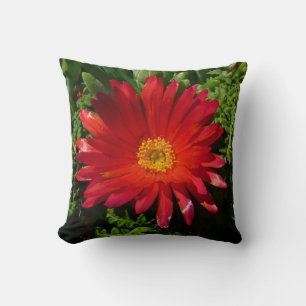 Blume Rotes Eis Farbenfrohe Teppiche Pflanze Kissen