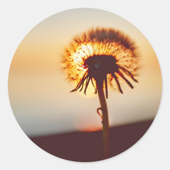 Blume Runder Aufkleber (Vorderseite)