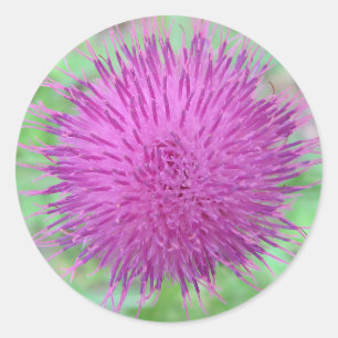 Blume Runder Aufkleber