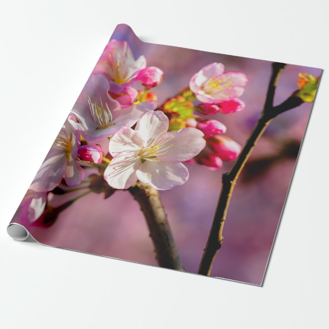 Blume Sakura im Garten Geschenkpapier (Ungerollt)