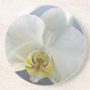 Blume Sandstein Untersetzer