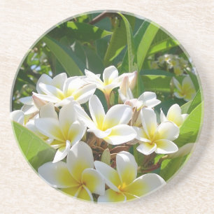 Blume Sandstein Untersetzer