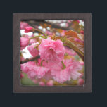 Blume Schachtel<br><div class="desc">Hot Pink Cherry Blossom Blume Foto von Sandy Closs am Lake Arrowhead Pink, Blume, Blume, Blumen, Frühling, Kirsche, Kirschen, Garten, Hochzeit, Hochzeiten, </div>