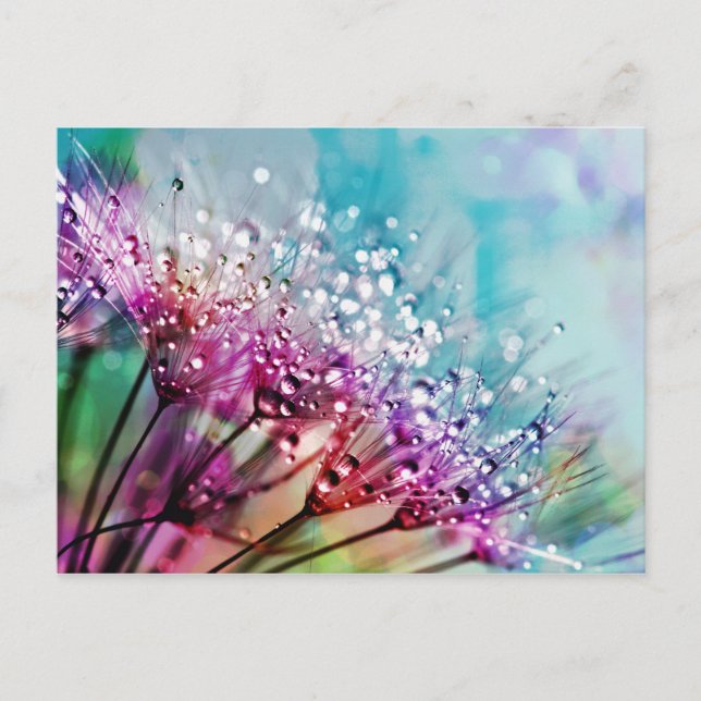 Blume Schließung Kristallschwärme Wasser Tropfen N Postkarte (Vorderseite)