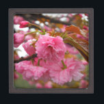 Blume Schmuckkiste<br><div class="desc">Hot Pink Cherry Blossom Blume Foto von Sandy Closs am Lake Arrowhead Pink, Blume, Blume, Blumen, Frühling, Kirsche, Kirschen, Garten, Hochzeit, Hochzeiten, </div>