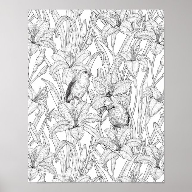Blume, schwarz und weiß poster (Vorne)