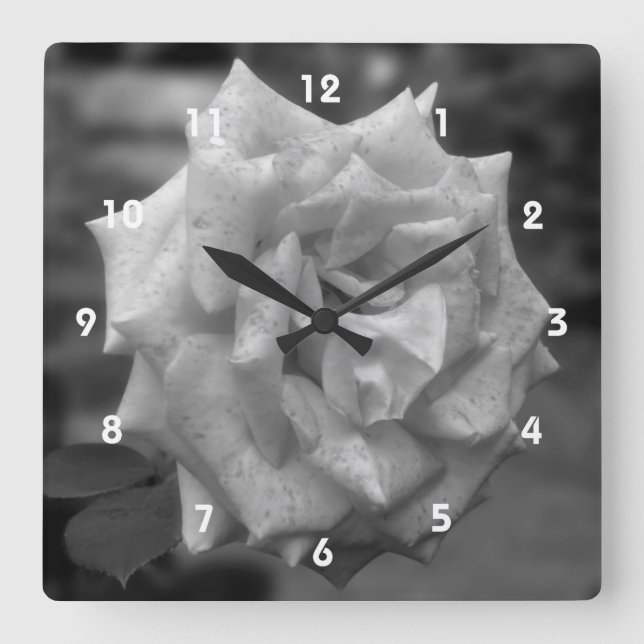 Blume Schwarz-Weiß Quadratische Wanduhr (Vorderseite)