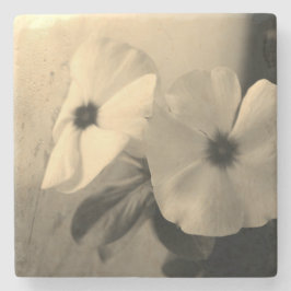 Blume Schwarz-weißes Foto Marmorstein Untersetzer