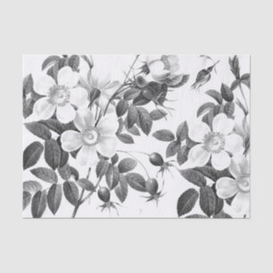 Blume Schwarze und Weiße Rose Seidenpapier