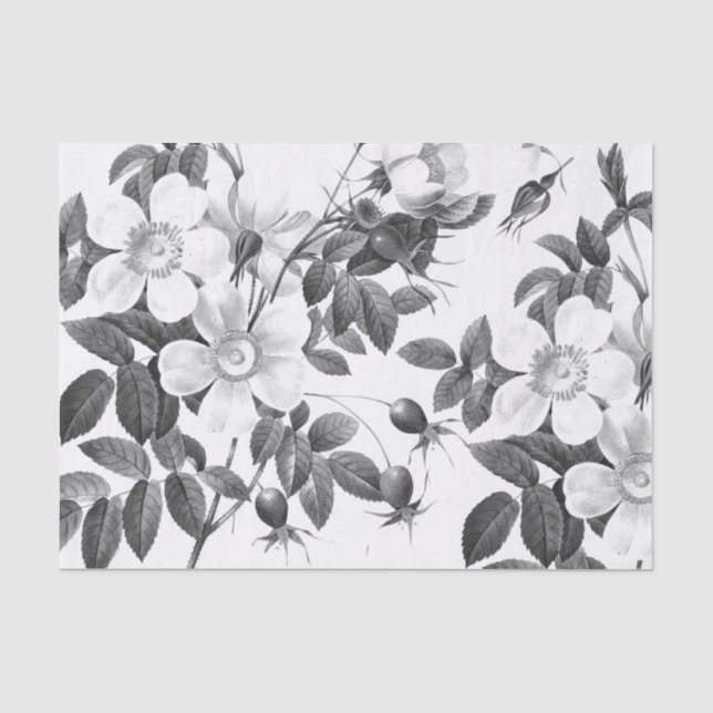 Blume Schwarze und Weiße Rose Seidenpapier (Vorderseite)