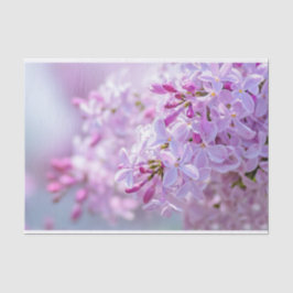 Blume Seidenpapier