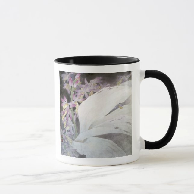 Blume Seires II Phaiuses Tasse (Rechts)
