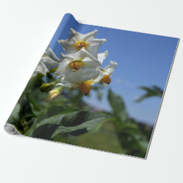 Blume Solanum tuberosum Geschenkpapier