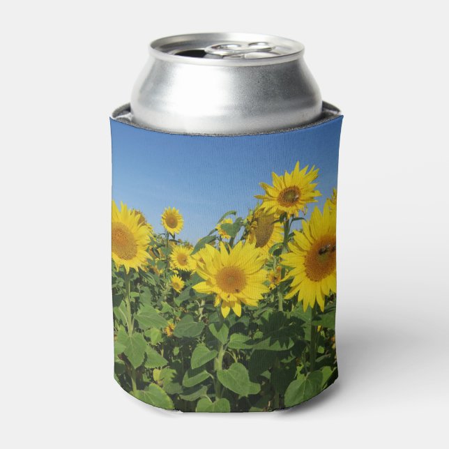 Blume, Sonne, Pflanze, Natur, Sommer, Dosenkühler (Kanne Vorderseite)