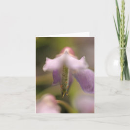 Blume Spirit Blank Grußkarte Karte