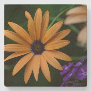 Blume Stone Untersetzer