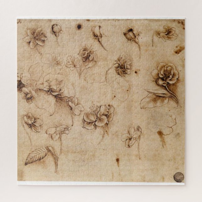 Blume Study - Leonardo da Vinci (1500) (Vertikal)