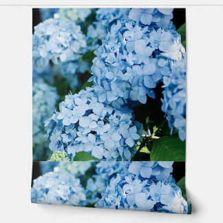 Blume Tapete