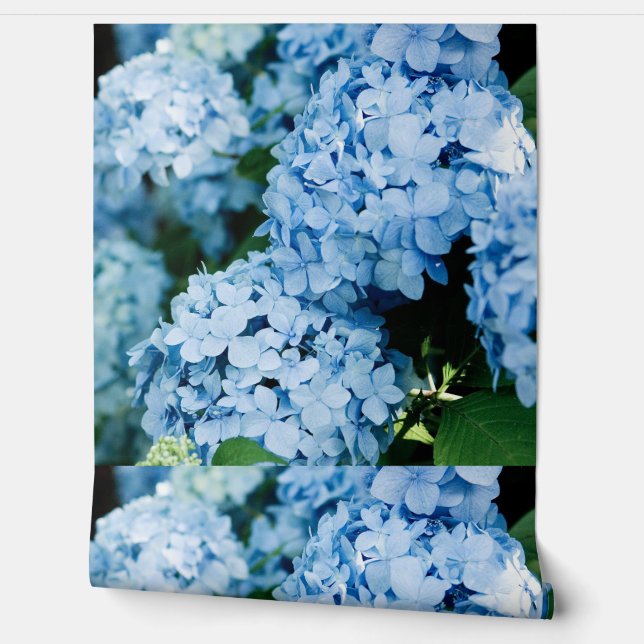 Blume Tapete (Abrollen)