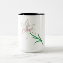 Blume