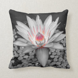 Blume Thrombozyten Pink Lilie Kissen