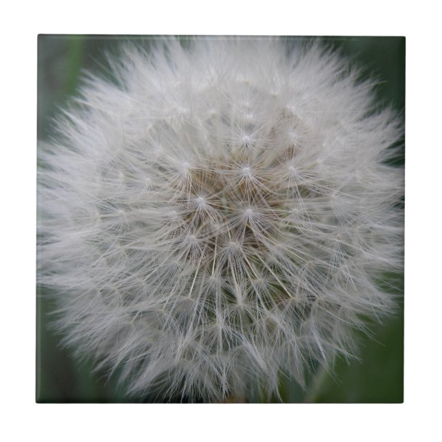 Blume-Tile Fliese (Vorderseite)