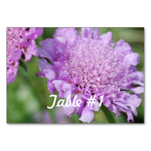 Blume Tischnummer