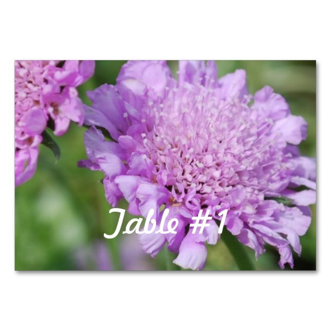 Blume Tischnummer (Vorderseite)